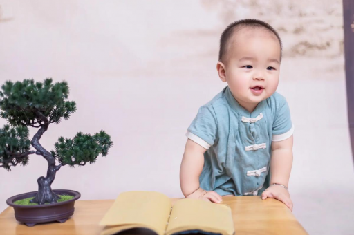 延安可爱的企鹅宝宝